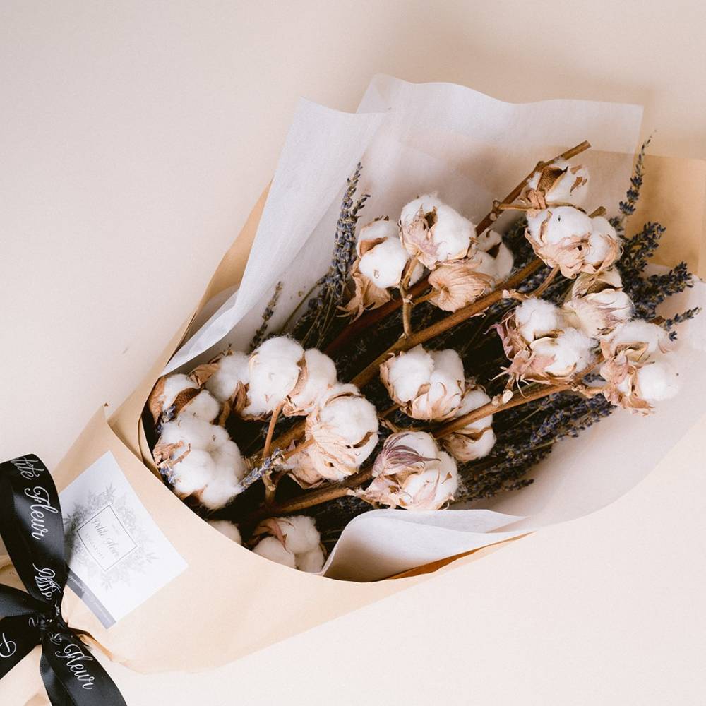cotton-flower-variety